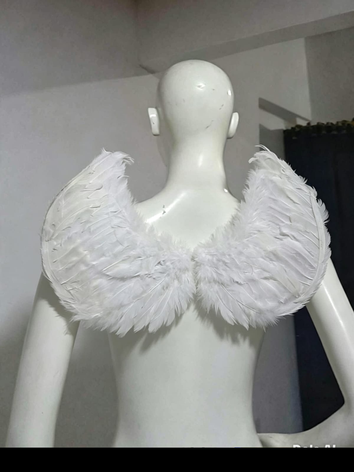 Alas blancas sencillas
