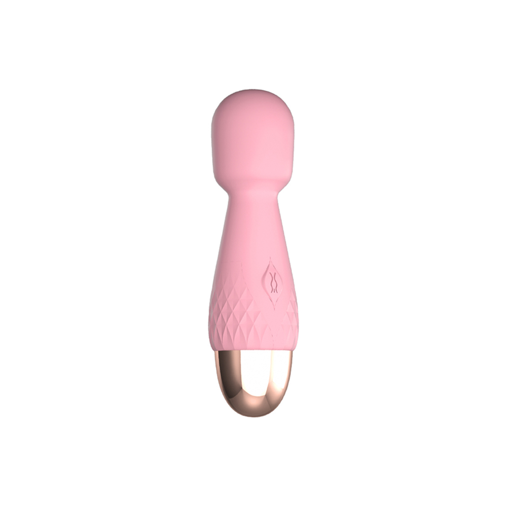Mini Hitachi